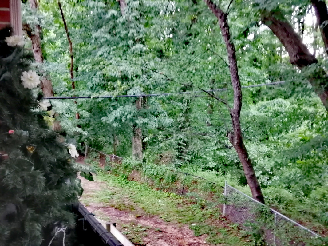 IMG_٢٠٢١٠٦١٠_١٥٢٢٢١