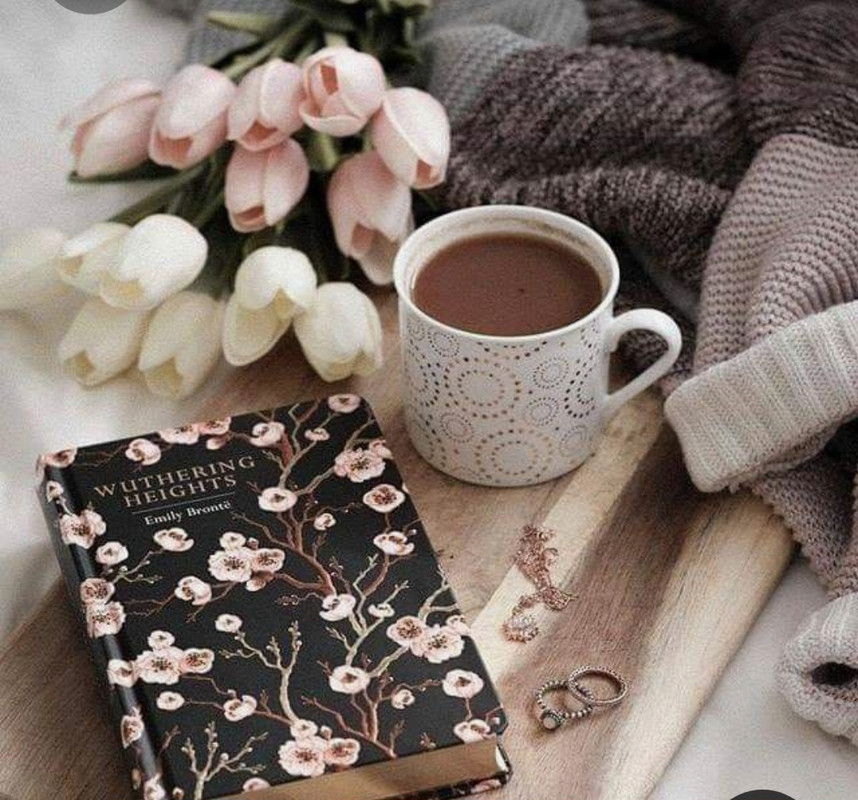 Screenshot_20230309_230206_Pinterest