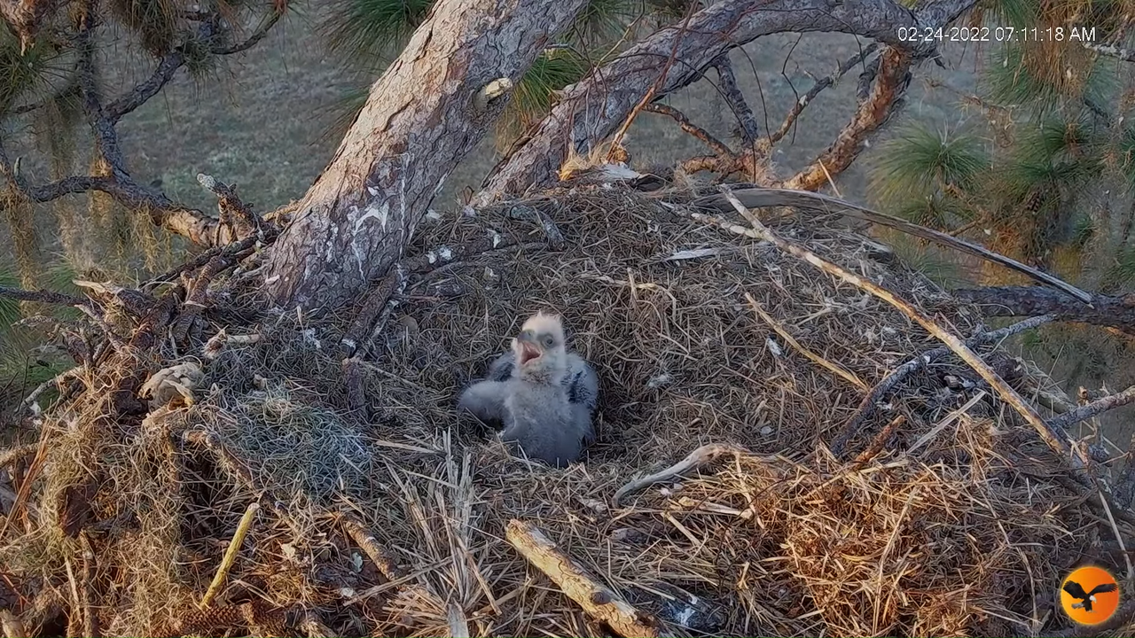 EC 4K Overhead Cam 11-8-2 screenshot