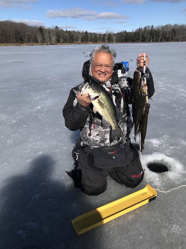 82EB5533-B5E7-4428-8873-44772362BC63