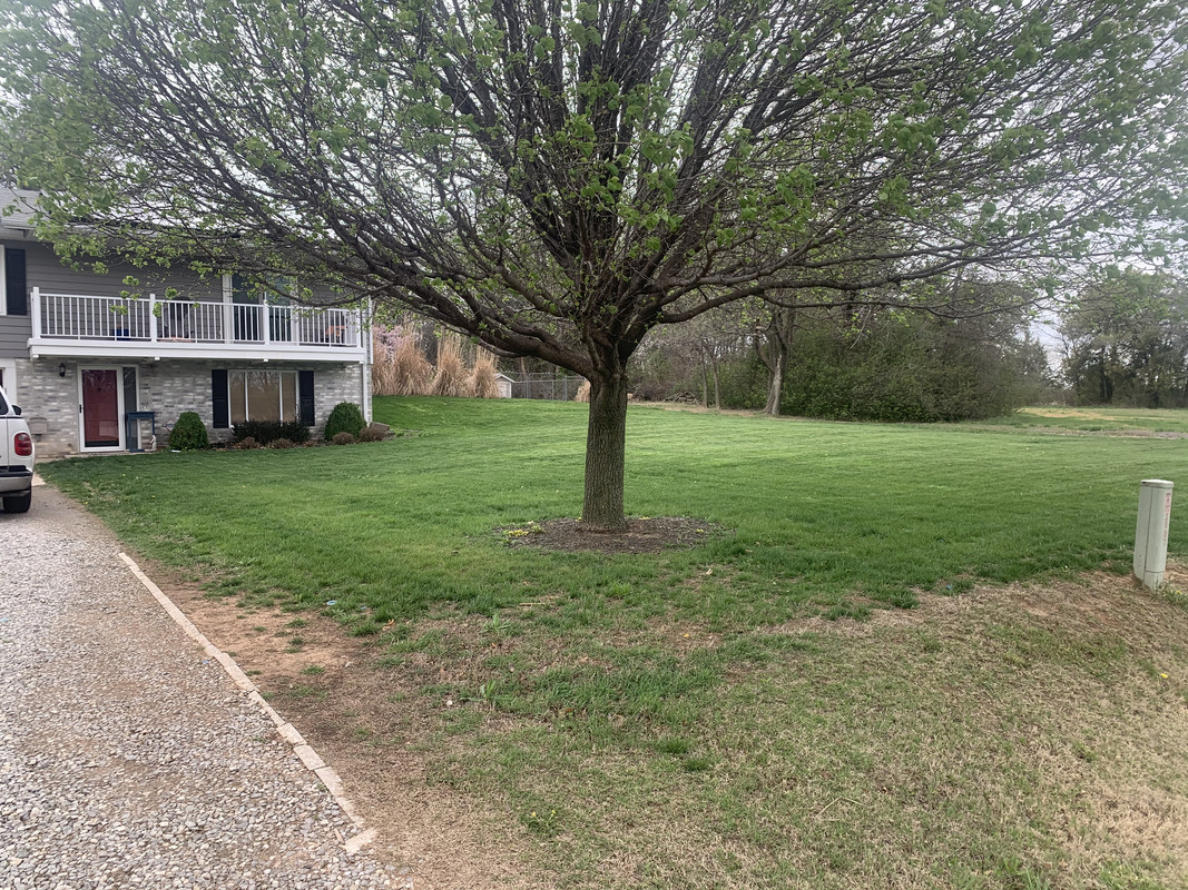 9DEC73C2-4C52-427E-B821-2C2E84DEC5D7