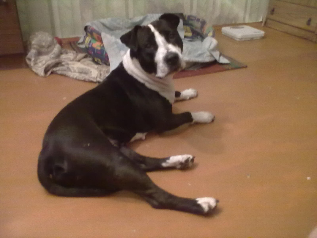 3B7A9091-7404-4C0B-91EE-16F79B8273C1