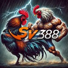 Digmaan SV388 Situs Judi Sabung Ayam Terpercaya No 1 Di Indonesia