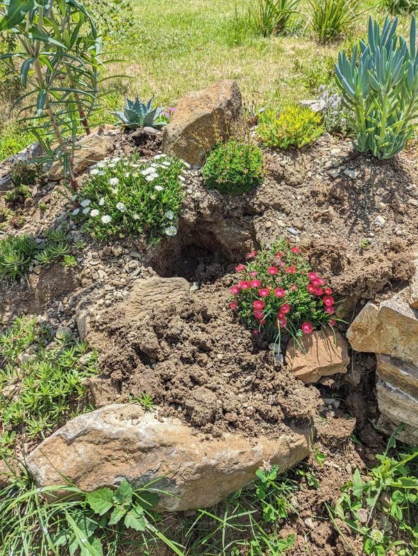 8C356188-C37F-452F-98D2-1C2B815446CF