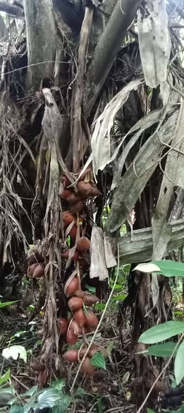 596227992 2151641048701861 1547216298906210907 n