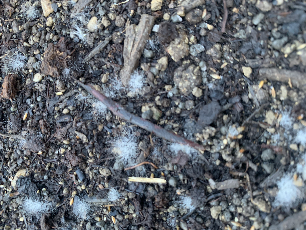 5E71FDDB-B6EA-4AD3-B087-77D608F4A121