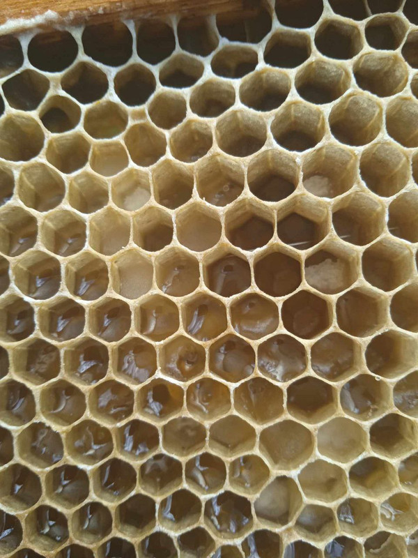 photo_2024-06-21_16-45-51 (2)