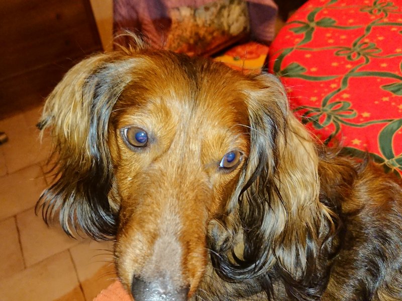 [Image: DSC-2253.jpg]