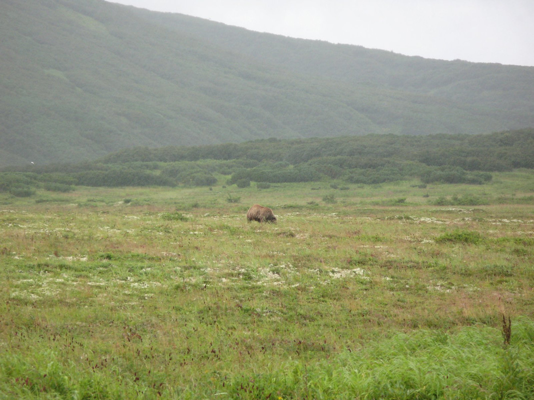 IMG-1674.jpg