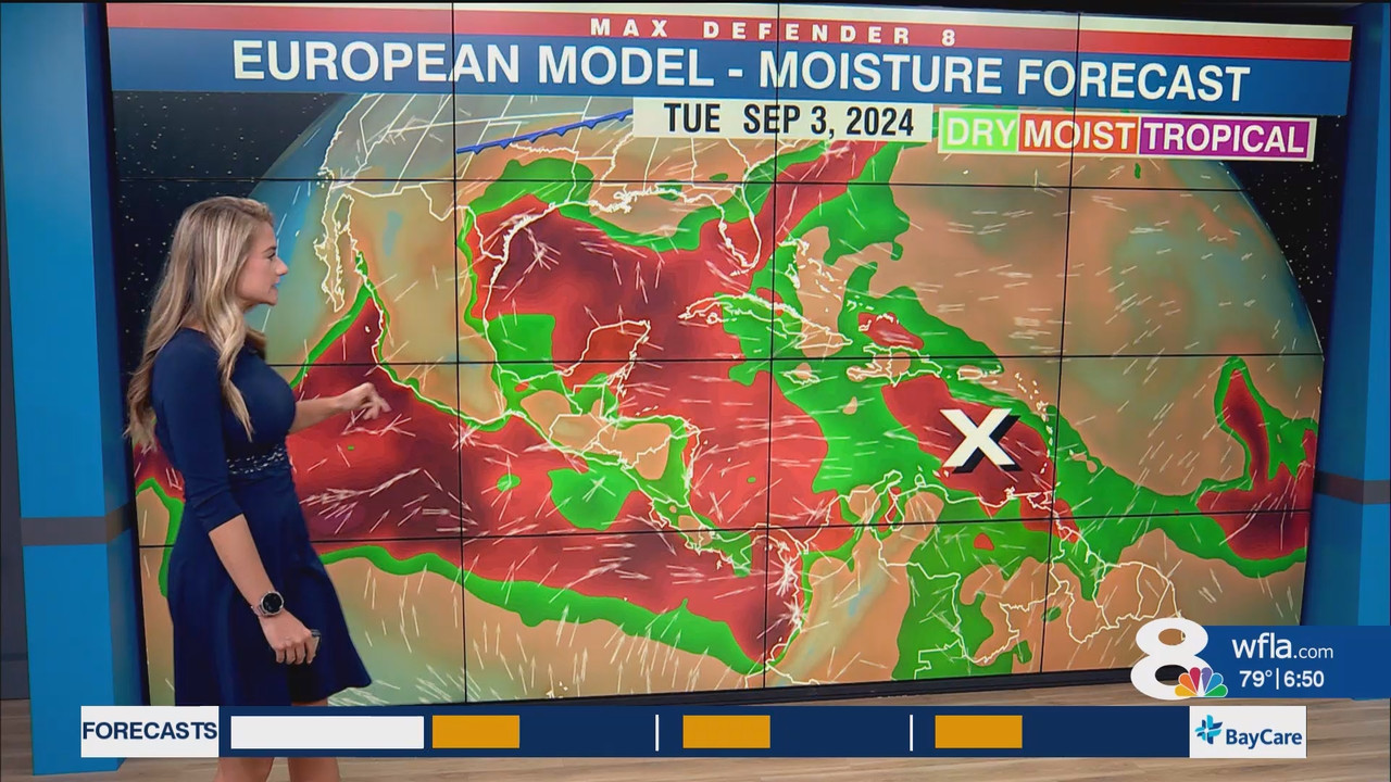 NewsChannel 8 Today at 6a_20240903_11001200.ts_snapshot_00.51.19.720