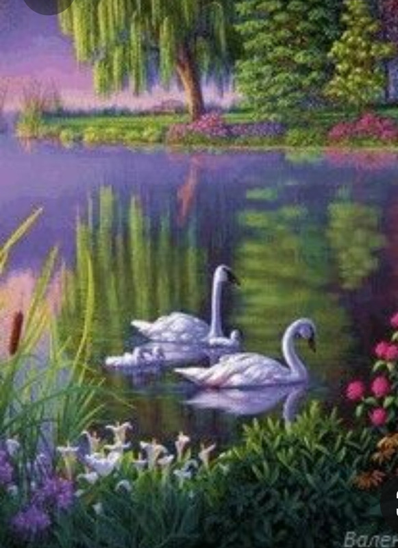 Screenshot_20230328_153521_Pinterest