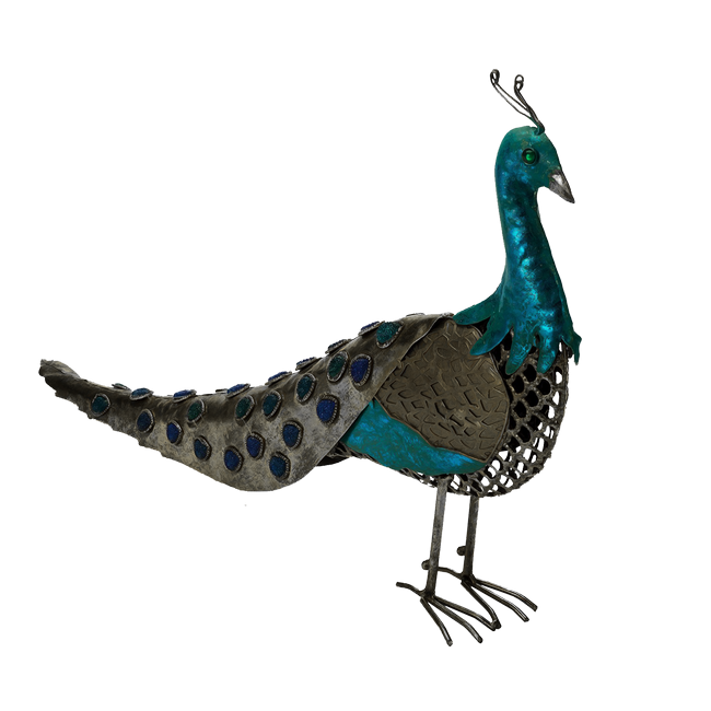 PeacockDreams_MM_Element (4)