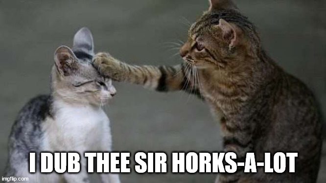 cat-sir-horksalot.jpg