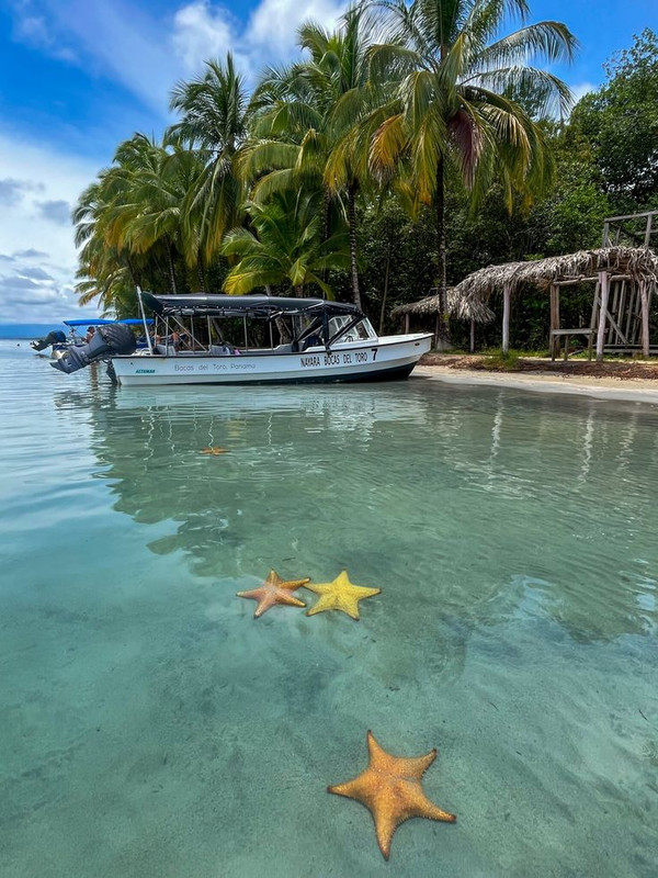 Bocas del Toro