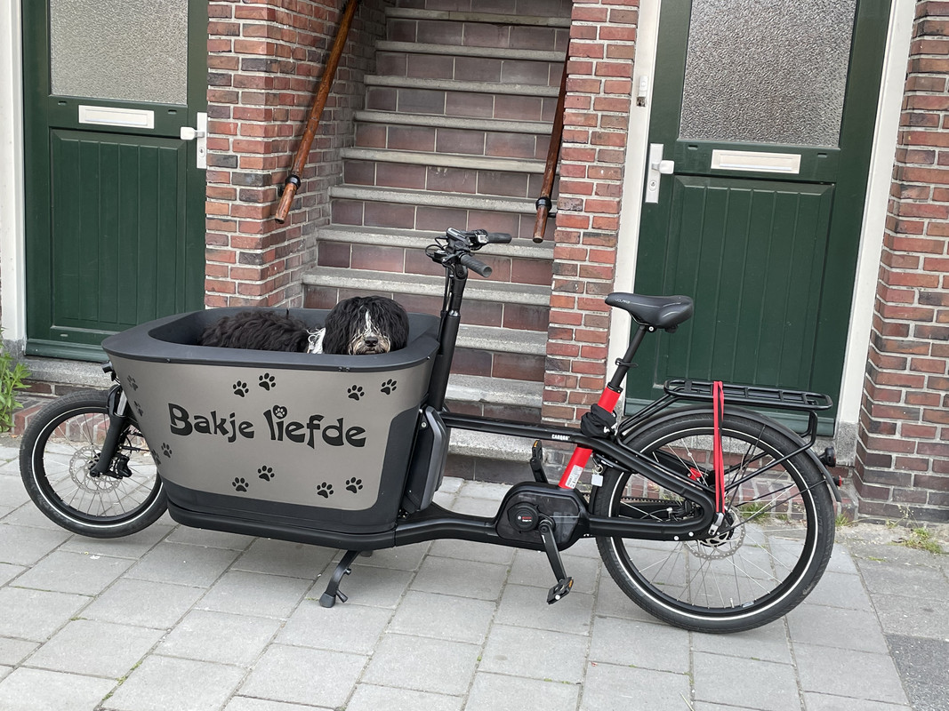 CA897394-0919-4436-AB26-FE8731A7B428