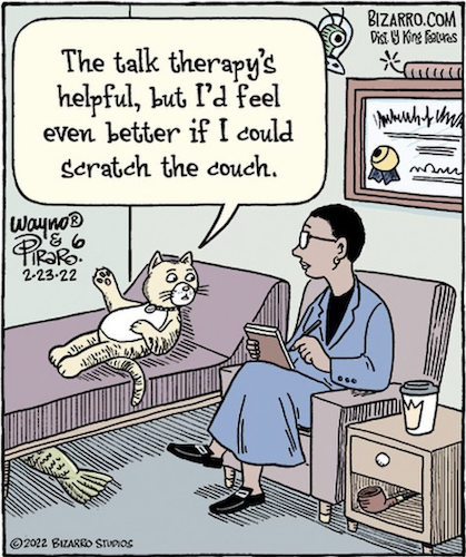 cat-therapy-bizarro-cartoon-by-wayno-piraro.png