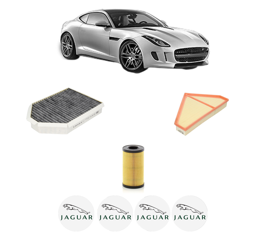 pachetrevizierfiltrecarbon17153