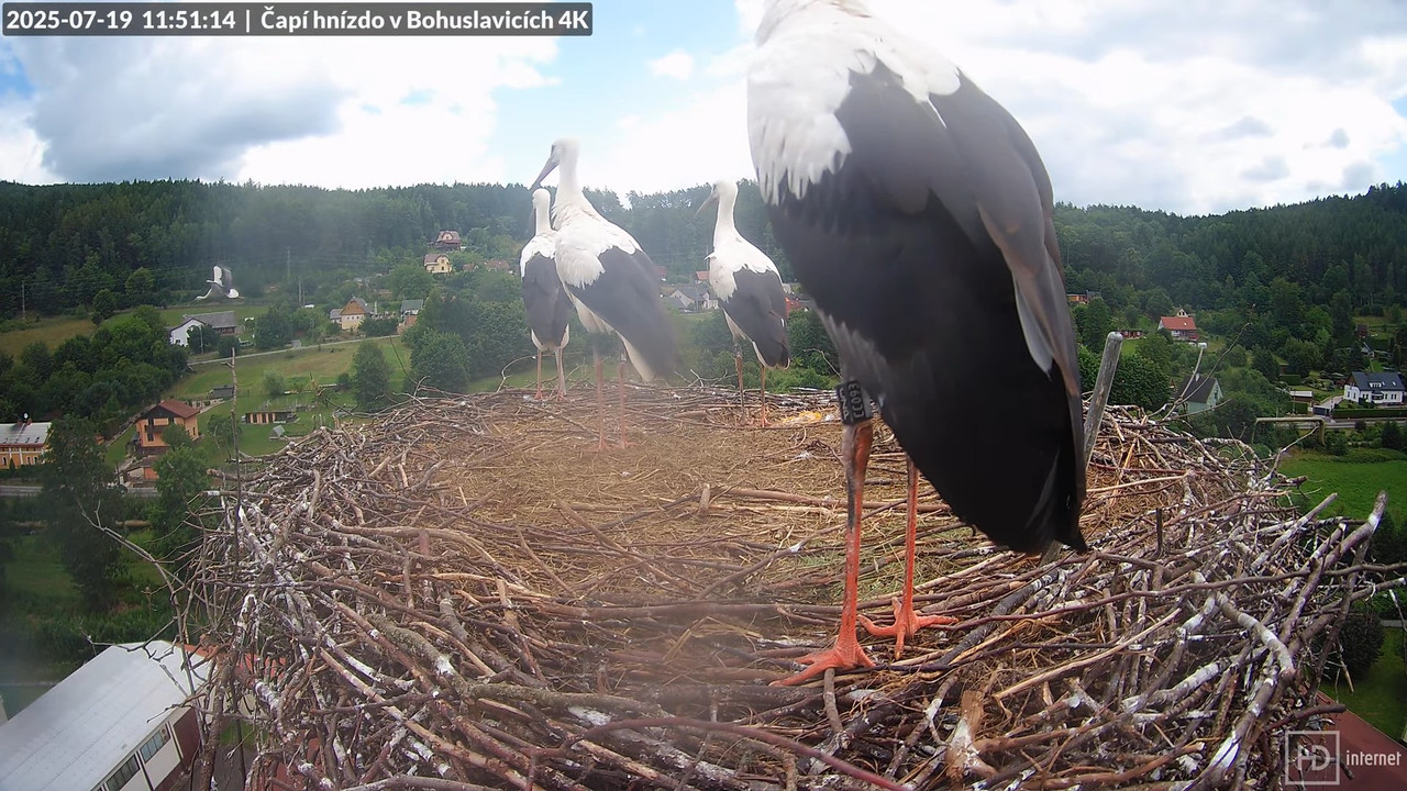 Tiešraide no KARA uzņēmuma stārķu skursteņa Bohuslavicē netālu no Trutnovas 15-7-18 screenshot