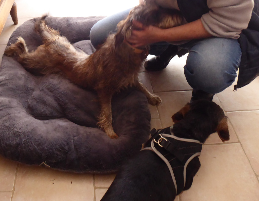 [Image: P1040851.jpg]