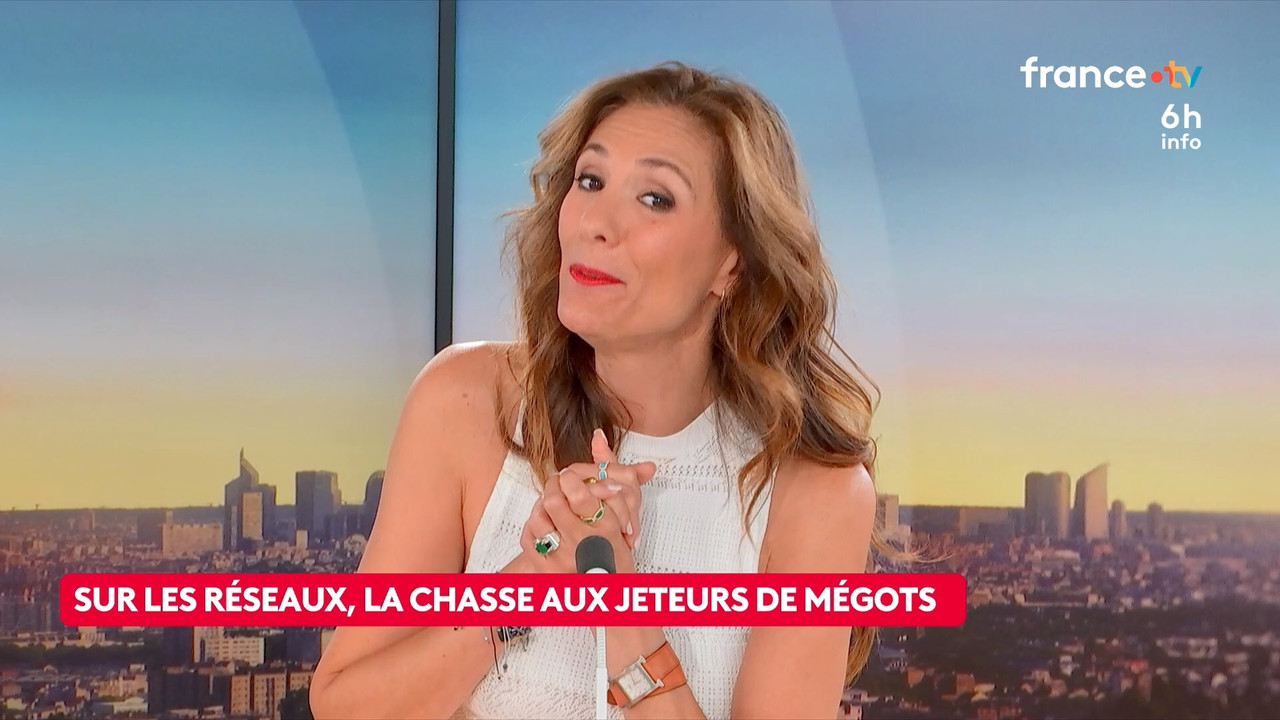 Le 6h info (France 2) 2026 08 02 04 55 10 ts snapshot 24 51 335