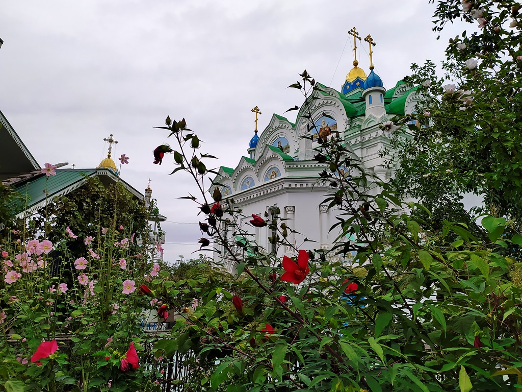 https://i.postimg.cc/3Nh5PbSR/IMG-20210922-165139.jpg