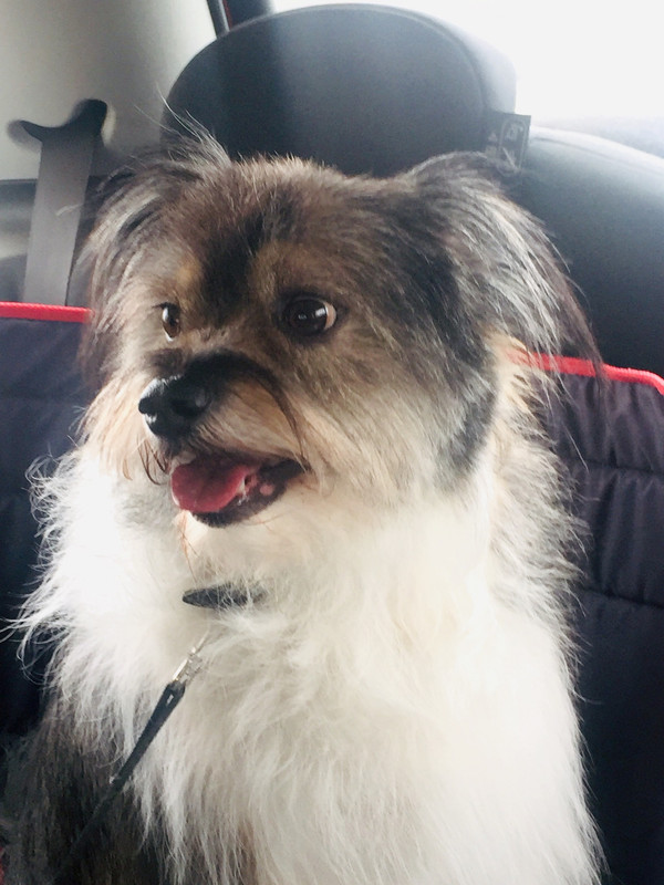 06392F1F-B12B-4660-BE24-2834395F2298