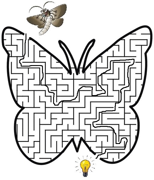 22-thumb-jpg-6f72e8936233e557b33c9bd48c0