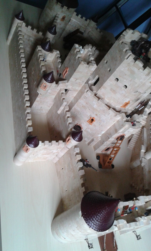 Forma inicial (3)