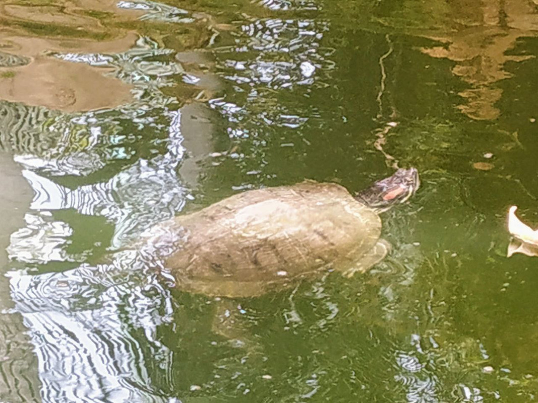 photo5812261293741159811