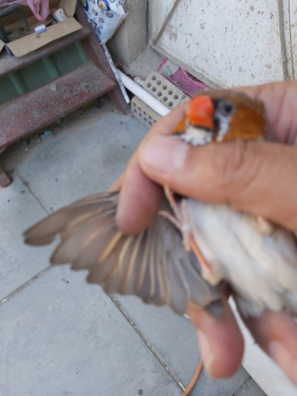 ٢٠١٩١٠٠٤_١٥١٥٤٥