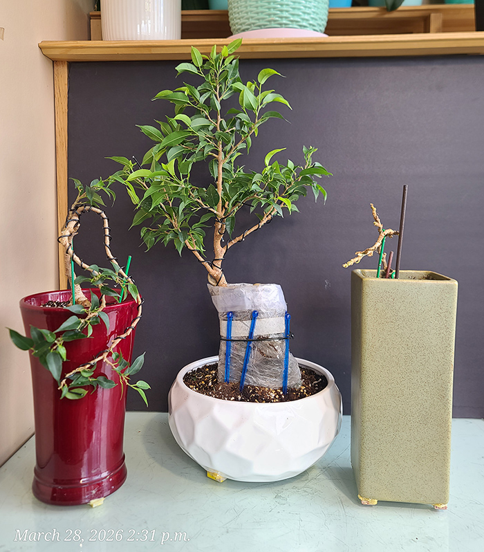 [Image: 20260328-143113.jpg]