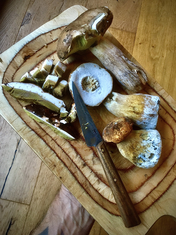 A615969C-267B-47E3-8105-6E97E50523D0