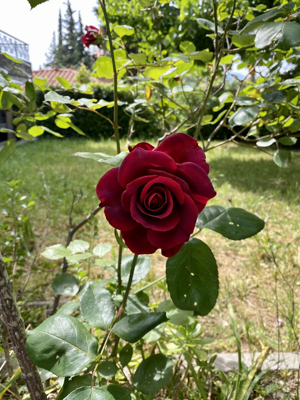 C9673475-9CCF-4867-94A8-31506E74E506