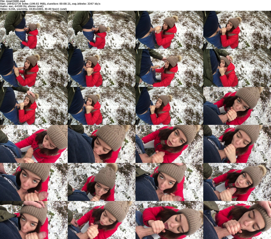 22082024122617screenshot