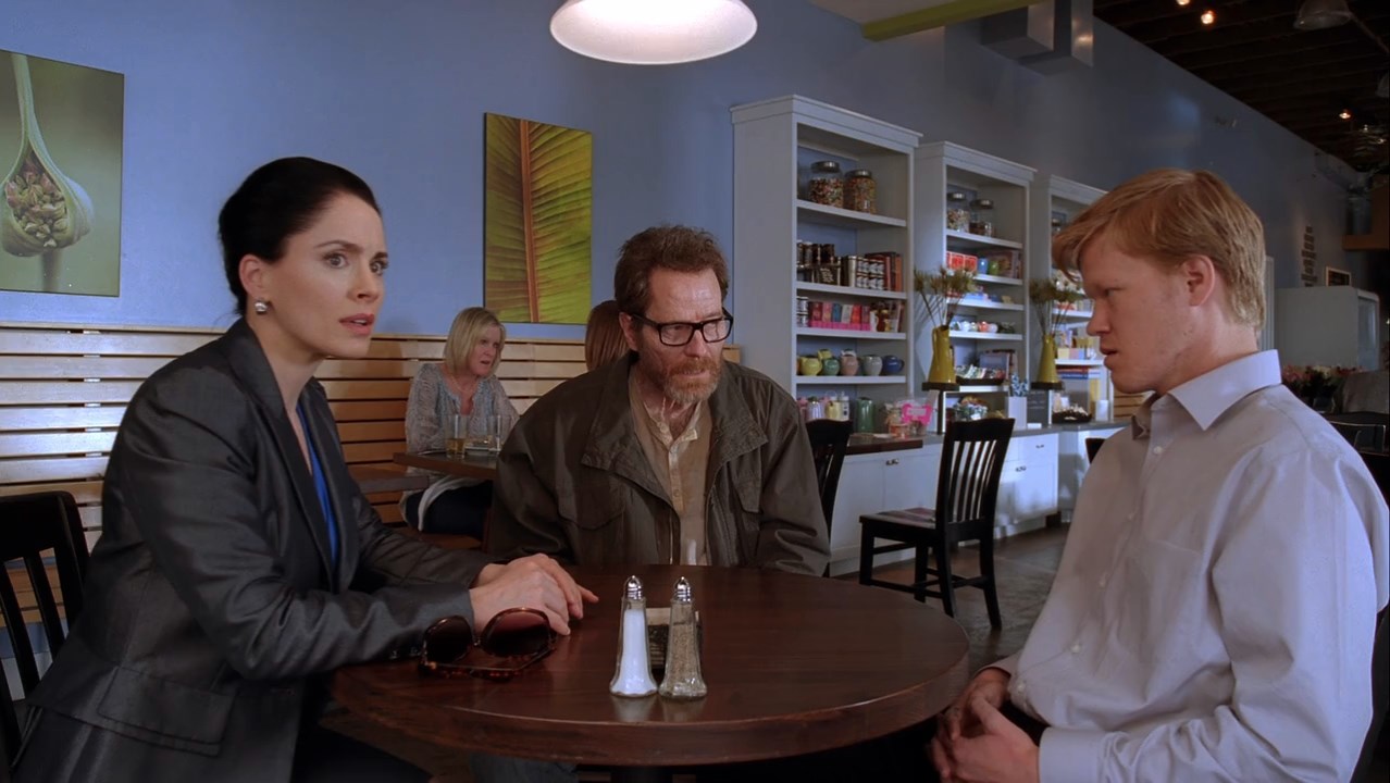 Breaking Bad (2012) Season 5 [Hindi + English] BluRay 480p 720p ESub - Complete Screenshot