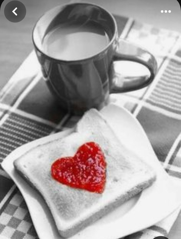 Screenshot_20240214_115429_Pinterest