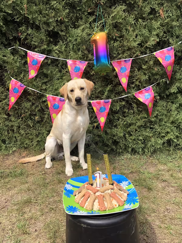 DA41BC5C-7240-4AD4-891D-AD5C002D6F71