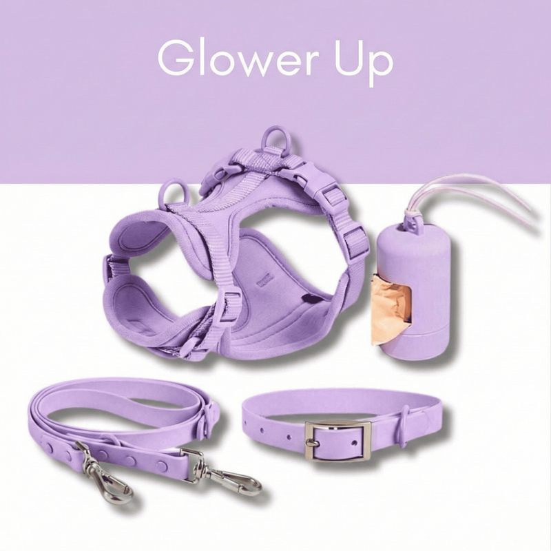 Kit de paseo Glower Up