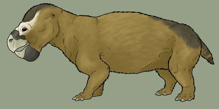 5d52f3fc62ba536a0155251c4439137a--monsters