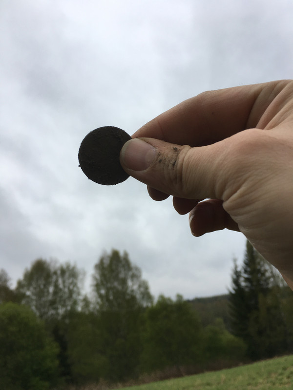 0E7C3383-EE09-41EA-99E7-C1CEC0B1AF53