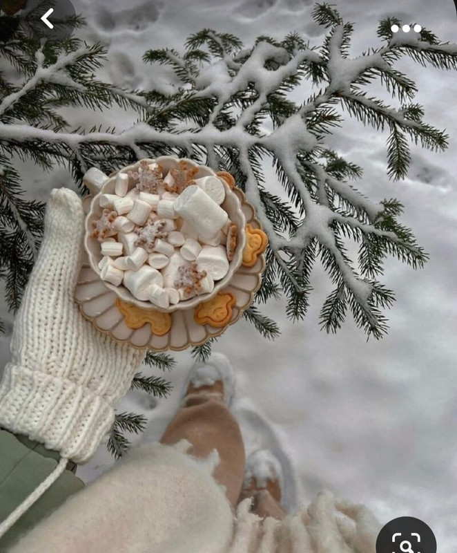 Screenshot_20231102_131757_Pinterest