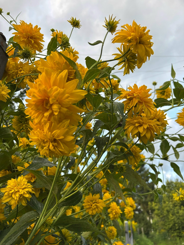 i sem YHt4RYXQi83y Inn Nu Rn Oe96gd35Ped7et Q3S2q7mfsz Zwac Avv5v4zc OHjp Socm3LJM5 o4R44a Dral Nu2