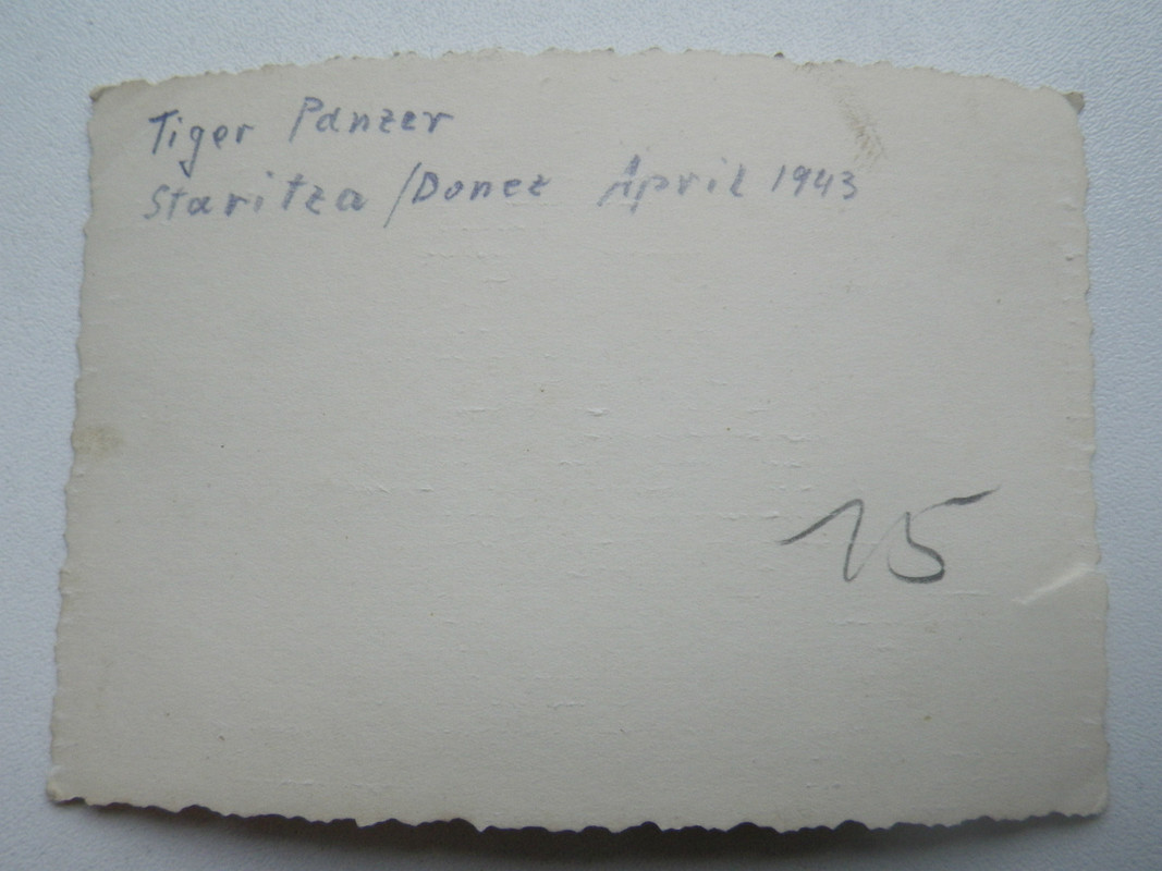 нем тигр 310302