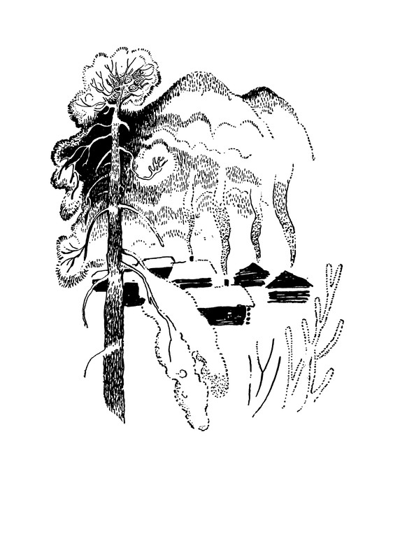 p0278