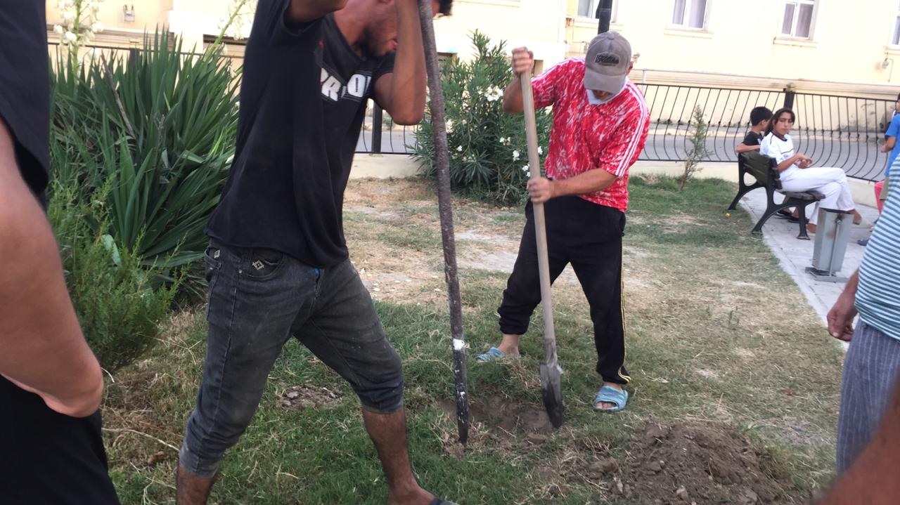 Whats-App-Image-2024-08-31-at-01-29-18-1