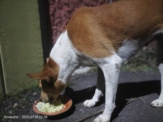 Daily Feeding Round