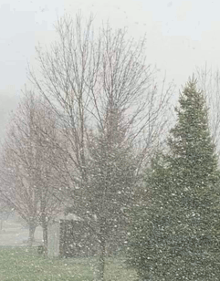 snow-20200421-2-small.gif