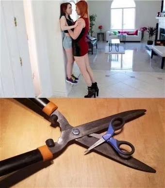 [Linked Image from i.postimg.cc]