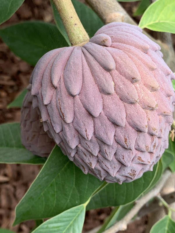 AE211A6E-9432-4A00-A8AA-23F823CD3A71