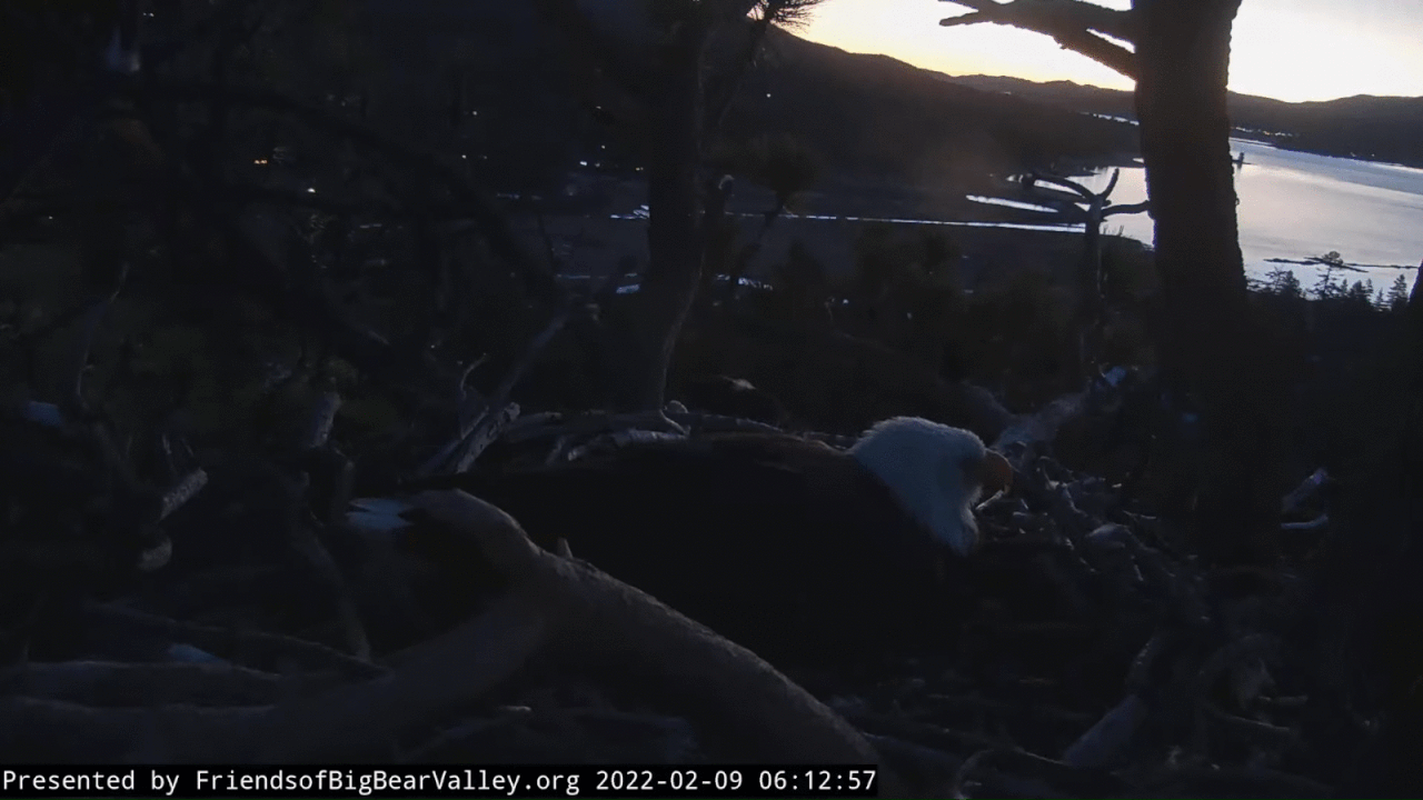 Webp.net-gifmaker (1)